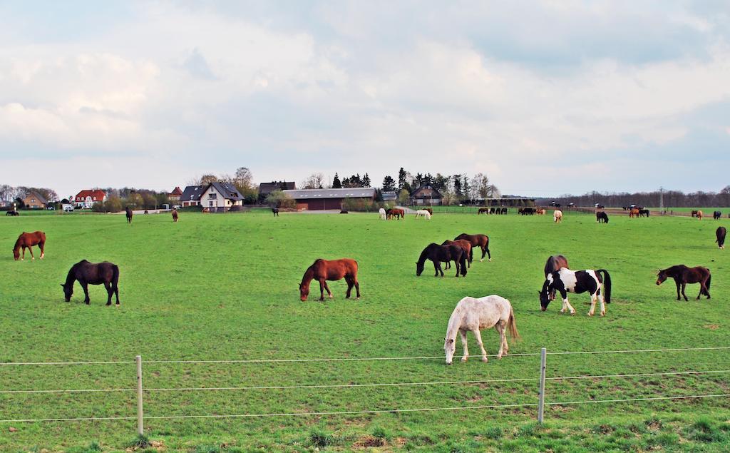 Ferienwohnung Bergblick クサンテン エクステリア 写真